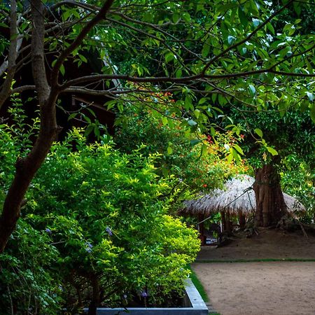 Arugambay Coco Bay Hotel อารูกัมเบย์ ภายนอก รูปภาพ