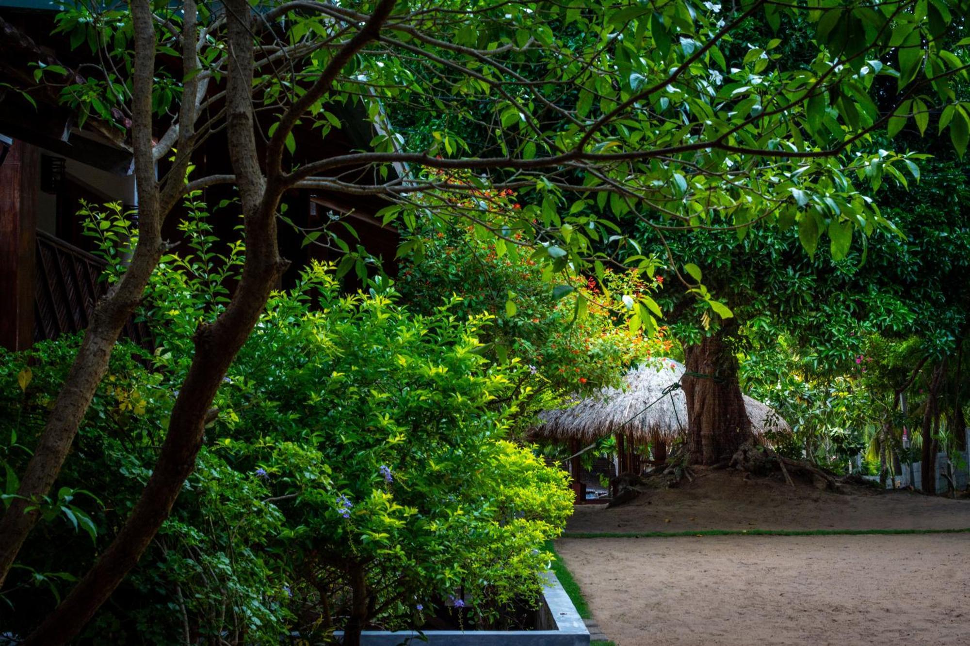 Arugambay Coco Bay Hotel อารูกัมเบย์ ภายนอก รูปภาพ