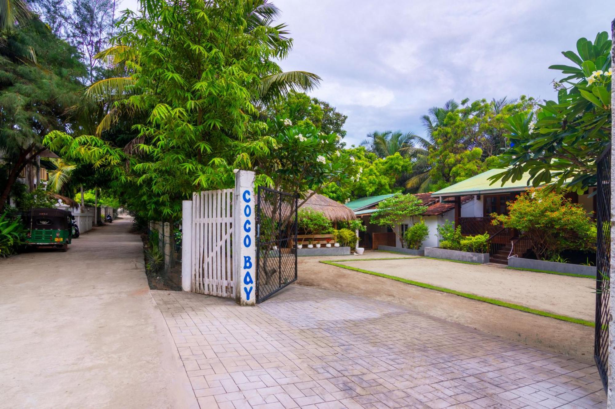 Arugambay Coco Bay Hotel อารูกัมเบย์ ห้อง รูปภาพ